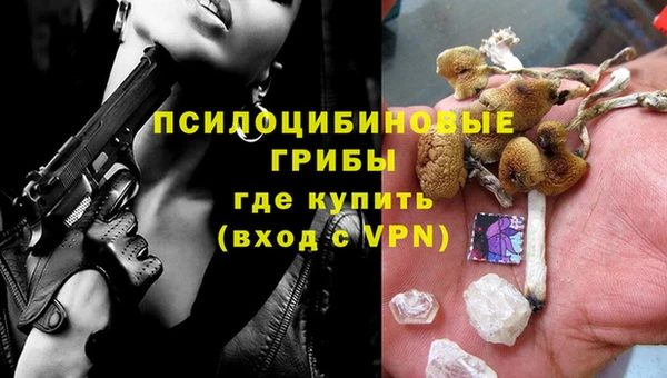 дурь Кукмор